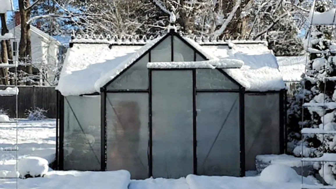 Junior Orangerie Greenhouse by Janssens Junior Orangerie Greenhouse by Janssens - Image 2